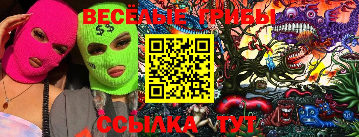 купить наркотик  Галлюциногенные грибы мицелий  Вход с VPN  Кимры 